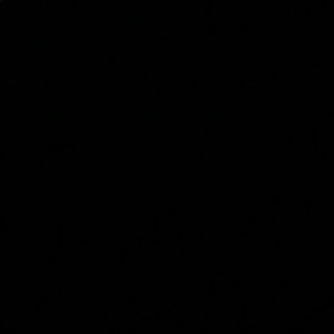 Meet your Posher, Bernie